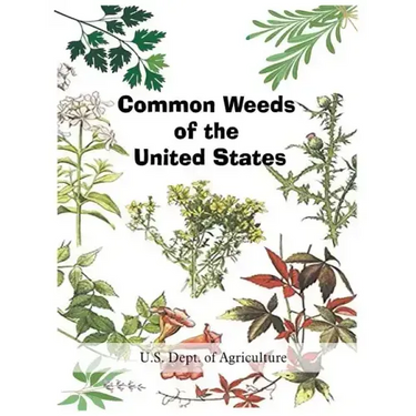Common Weeds of the United States