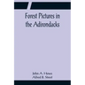 Forest Pictures in the Adirondacks