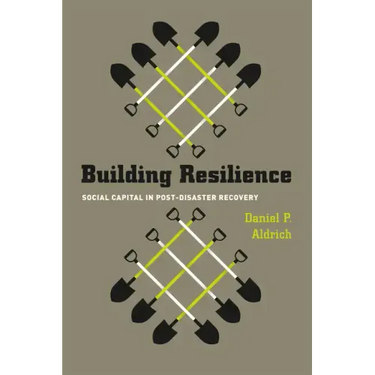 Building Resilience: Social Capital in Post-Disaster Recovery