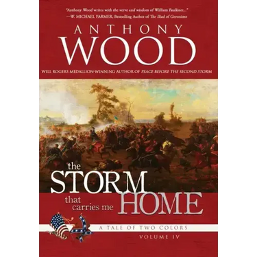 The Storm That Carries Me Home: A Story of the Civil War