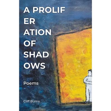 A Proliferation of Shadows