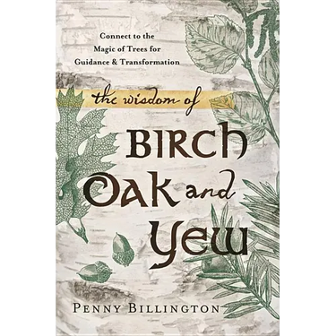 The Wisdom of Birch, Oak, and Yew: Connect to the Magic of Trees for Guidance & Transformation