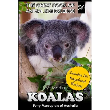 Koalas: Furry Marsupials of Australia