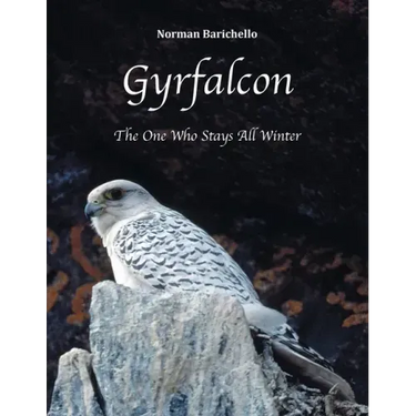 Gyrfalcon: The One Who Stays All Winter