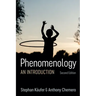 Phenomenology: An Introduction