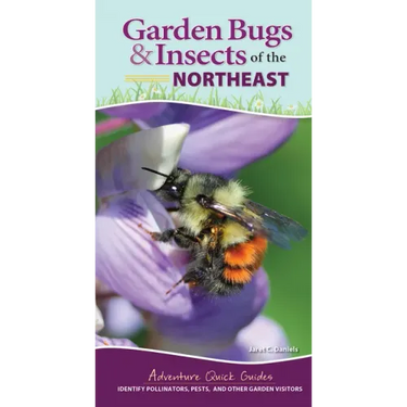 Garden Bugs & Insects of the Northeast: Identify Pollinators, Pests, and Other Garden Visitors