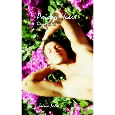 Poison Heart: Gay Fiction