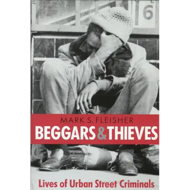 Beggars and Thieves: Lives of Urban Street Criminals