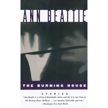 The Burning House