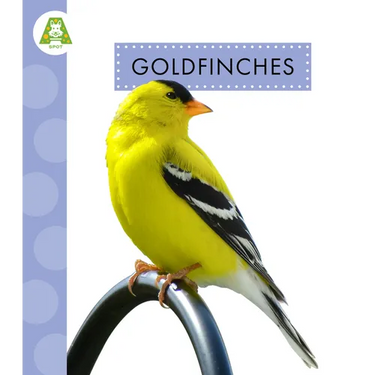 Goldfinches