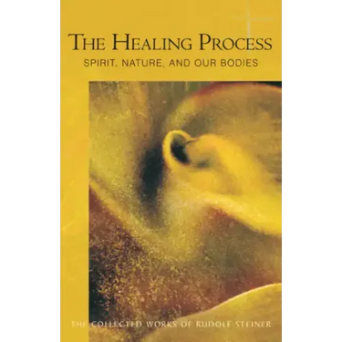 The Healing Process: Spirit, Nature & Our Bodies (Cw 319)