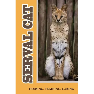 Serval Cat: Housing, Training, Caring: Care Guide For Serval Cat