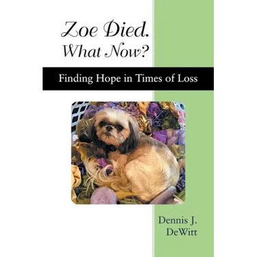 Zoe Died. What Now?: Finding Hope in Times of Loss