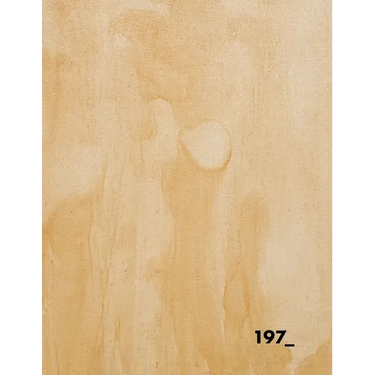 Excavation: A Journey Through Loss