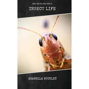 Insect Life