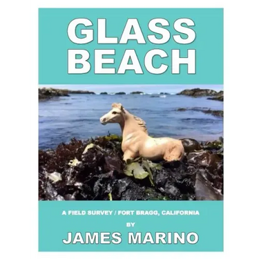 Glass Beach: A Field Survey / Fort Bragg, California