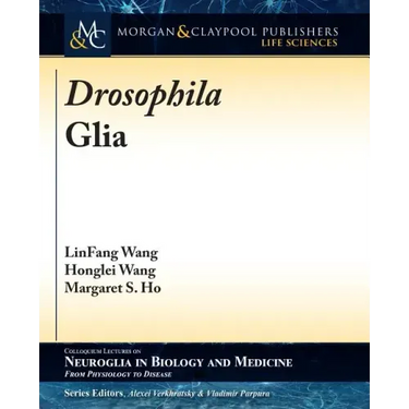 Drosophila Glia
