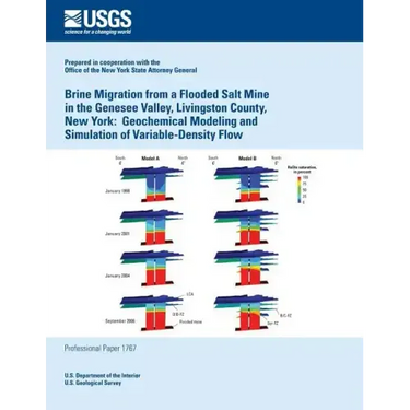 Brine Migration from a Flooded Salt Mine in the Genesee Valley, Livingston County, New York: Geochemical Modeling and Simulation of Variable-Density F