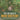 The Life Cycle of Naked-Seed Plant Life Cycle Books Grade 5 Children's Biology Books