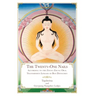 The Twenty-One Nails: According to the Zhang Zhung Oral Transmission Lineage of Bon Dzogchen