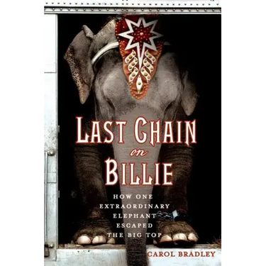 Last Chain On Billie