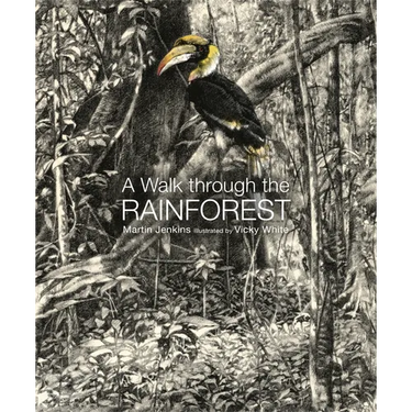 A Walk Through the Rain Forest