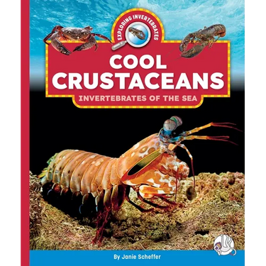 Cool Crustaceans: Invertebrates of the Sea