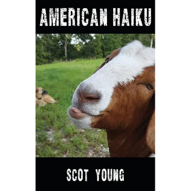 American Haiku