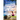 Love Out of Focus