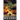 The Exodus Key