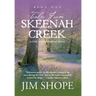 Tales From Skeenah Creek: A Civil War Historical Fiction Novel