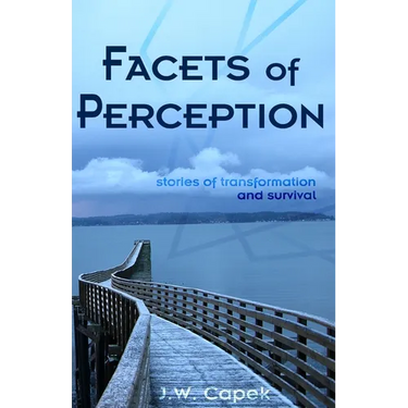 Facets of Perception