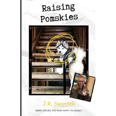 Raising Pomskies: Breed Specific Tips from Puppy to Pomsky