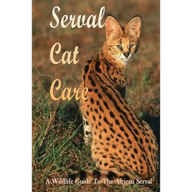 Serval Cat Care: A Wildlife Guide To The African Serval: Facts About The Exotic Breed