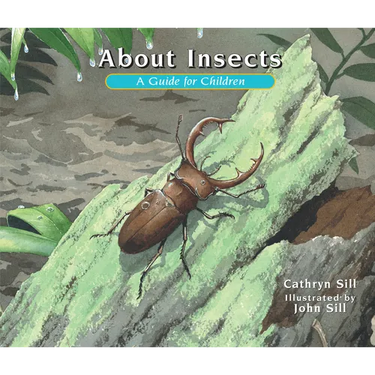 About Insects: A Guide for Children (Educational Science Book about Bugs for Stem Learning)