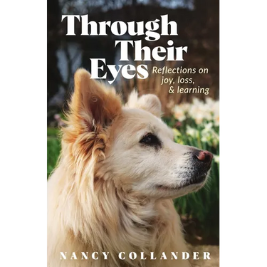 Through Their Eyes: Reflections on joy, loss, and learning