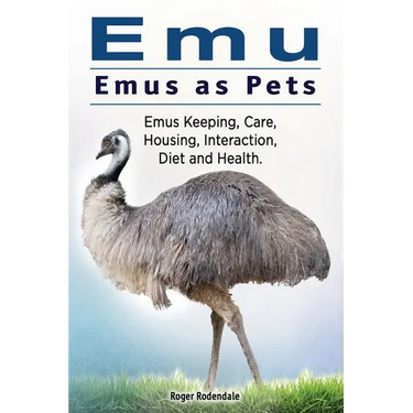 Emu. Emus as Pets. Emus Keeping, Care, Housing, Interaction, Diet and Health