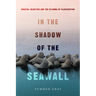 In the Shadow of the Seawall: Coastal Injustice and the Dilemma of Placekeeping