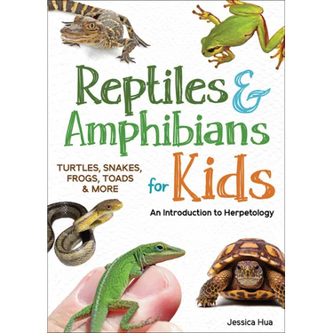 Reptiles & Amphibians for Kids: An Introduction to Herpetology