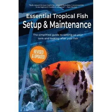 Essential Tropical Fish: Setup & Maintenance Guide