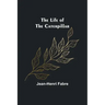 The Life of the Caterpillar