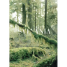 Sylvania