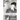 In Wolf's Clothing: Book 2 - The Wannabe - From newbie to neophyte to rookie warrior. So accomplished, he could hardly stand it