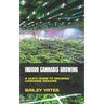 Indoor Cannabis Growing: A Quick Guide to Growing Cannabis Indoors