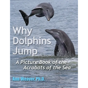 Why Dolphins Jump: A Picture Book of the Acrobats of the Sea