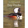 The North American Sea Ducks
