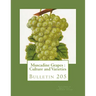 Muscadine Grapes: Culture and Varieties: Bulletin 205