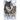 The Call of the Wild