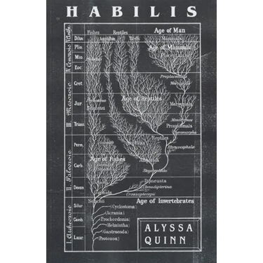 Habilis