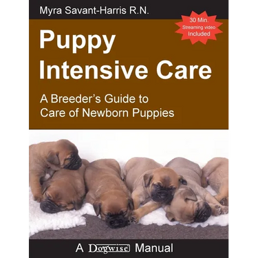 Puppy Intensive Care